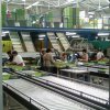 Zespri Aanvoergoten